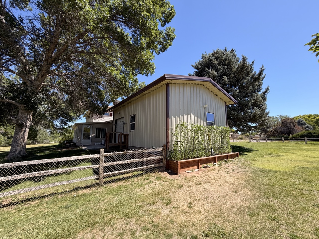 ID 59 image 2