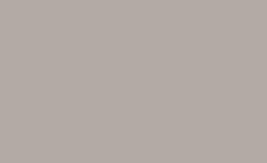 Ash Grey (25)